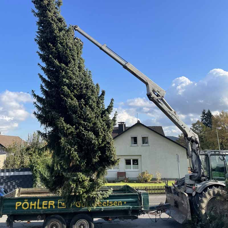 baumarbeiten gartenbau poehler