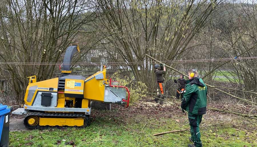 Baum- und Gehölzpflege