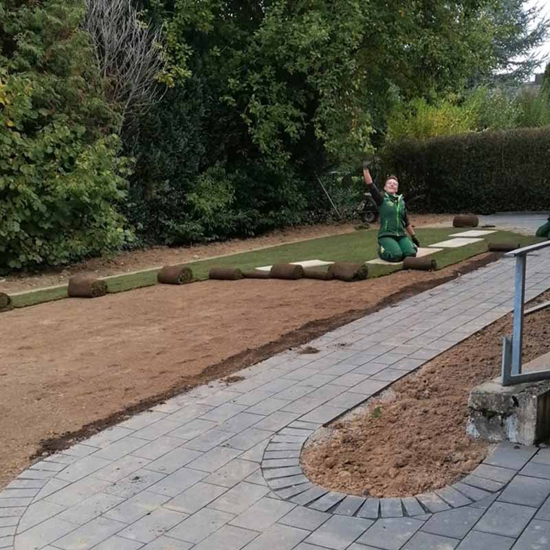rollrasen gartenbau