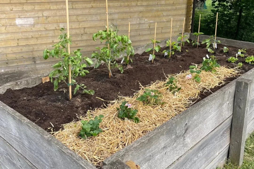 Hochbeet – Grundschule